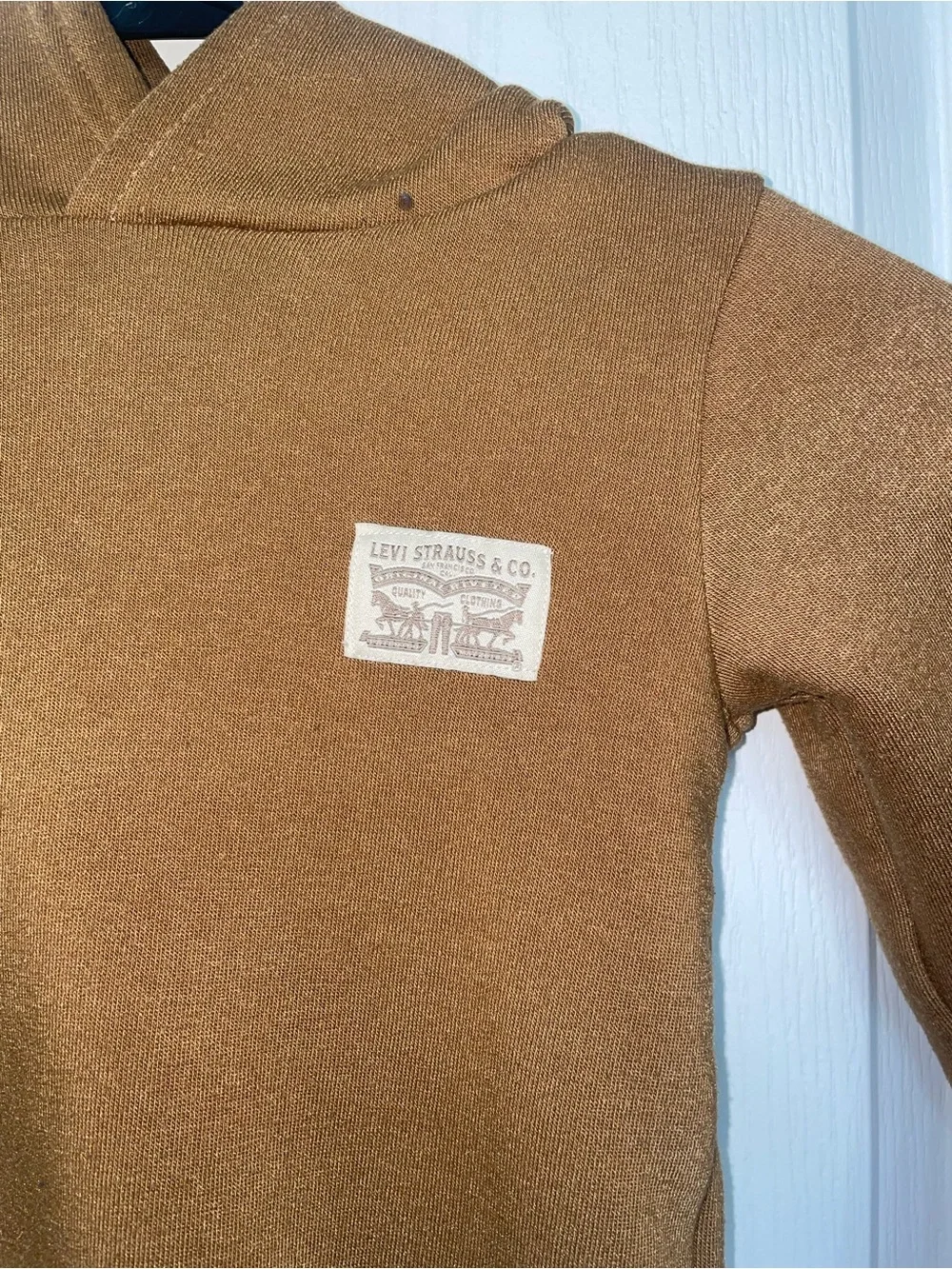 Levi's Kids Brown Hooded Sweatshirt with Sleeve Logo